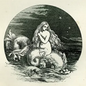 Midsummer: A Midsummer Night's Dream