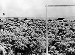 Midway: Midway Islands, 1942