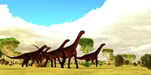 Tranquil: A Mierasaurus dinosaur herd travels together amongst