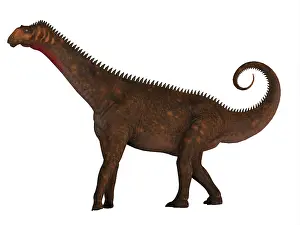 Titanosaur: Mierasaurus dinosaur, side profile