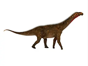 Titanosaur: Mierasaurus dinosaur, side view on white background