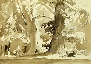 Mighty: Mighty trees