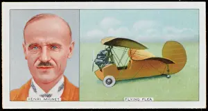 Mignet: MIGNET & FLYING FLEA