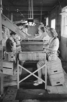 Migrants: Migrants - Workers - Occupations - Women
