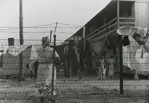 4 People: Migratory African American cannery workers camp