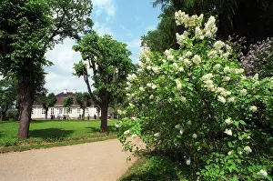 Mikhailovskoye: In Mikhailovskoye, 1999