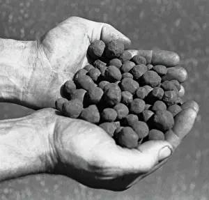 Zheleznogorsk: Mikhailovsky Mining and Processing Plant