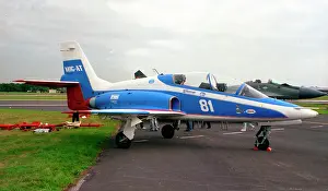 Farnborough: Mikoyan MiG-AT 81 White