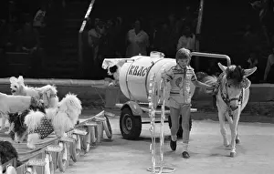 Youngest: Milayev Dynasty of Circus Performers