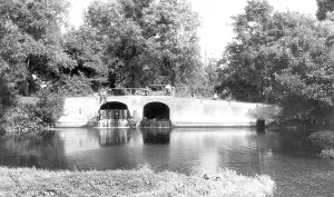 Lark: Mildenhall, the Lark c1965