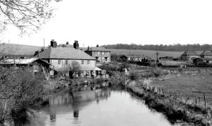 Kennet: Mildenhall, the River Kennet 1952