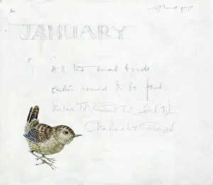 Mildred: Mildred Eldridge - In My Garden