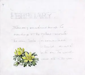Mildred: Mildred Eldridge - In My Garden