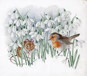Mildred: Mildred Eldridge - In My Garden