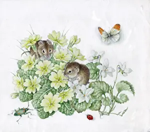 Mildred: Mildred Eldridge - In My Garden