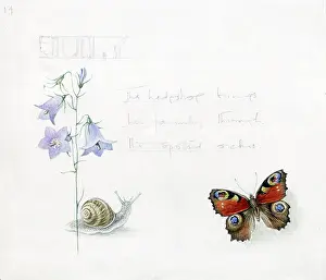 Mildred: Mildred Eldridge - In My Garden