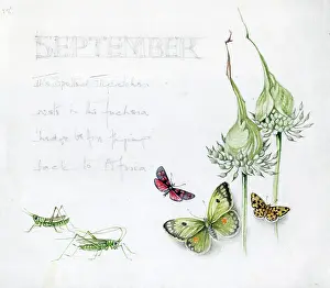Mildred: Mildred Eldridge - In My Garden