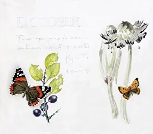 Mildred: Mildred Eldridge - In My Garden