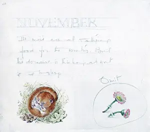 Mildred: Mildred Eldridge - In My Garden
