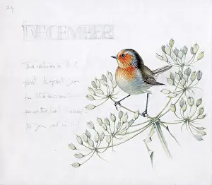 Elsie: Mildred Eldridge - In My Garden
