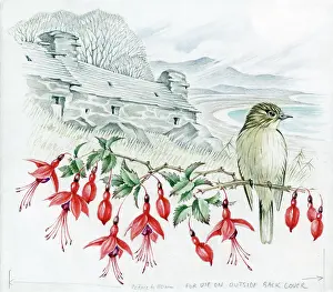 Elsie: Mildred Eldridge - In My Garden