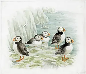 Mildred: Mildred Eldridge - The Sea Shore