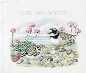 Elsie: Mildred Eldridge - The Sea Shore