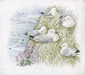 Elsie: Mildred Eldridge - The Sea Shore