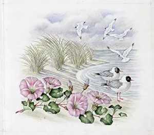 Elsie: Mildred Eldridge - The Sea Shore