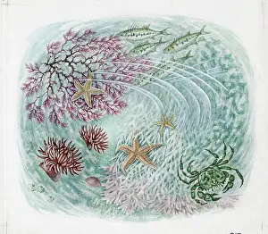 Elsie: Mildred Eldridge - The Sea Shore
