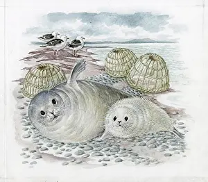 Elsie: Mildred Eldridge - The Sea Shore