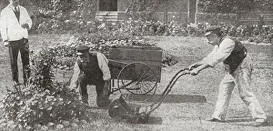 Mowing: Mile End Workhouse, London