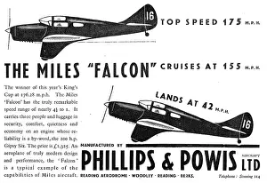Powis: Miles Falcon