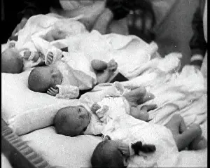 Quadruplets: The Miles Quadruplets