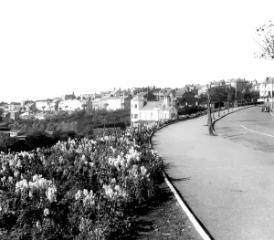 Rath: Milford Haven, the Rath c1960