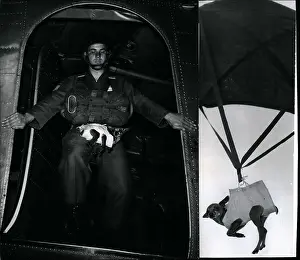 Parachutist: US Military
