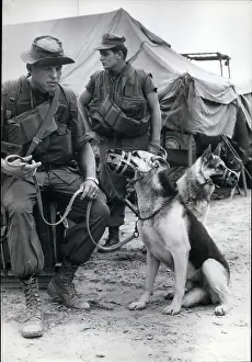 Handlers: US Military