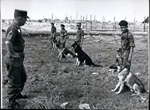 Pate: US Military