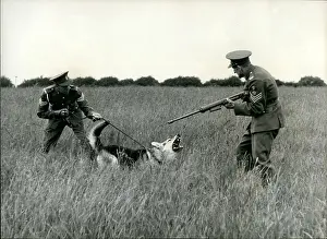 Melton: US Military