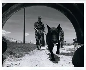 Pentagon: US Military