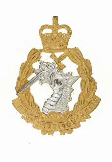 Placed: Military Badge