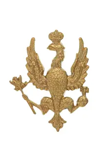 Hussars: Military Badge