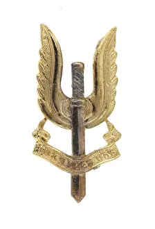 Ranks: Military Badge