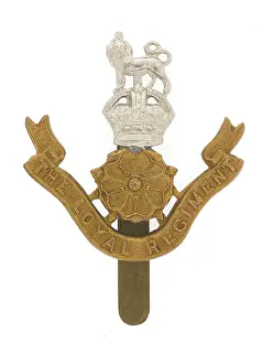 Ranks: Military Badge