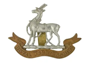 Ranks: Military Badge