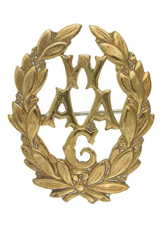 Nellie: Military Badge