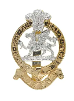 Ranks: Military Badge