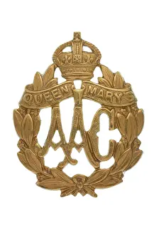 Auxiliary: Military Badge