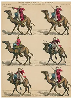 Militaires: MILITARY CAMELS