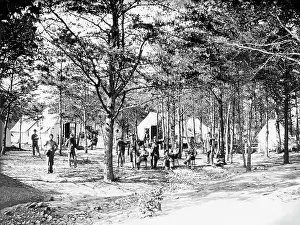 Yankee: Military camp set up in the woods during the